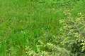 ділянка за адресою Львів, Холодна вул., 85