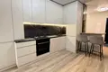 квартира за адресою Юліана Пелеша вул., 6