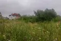 участок по адресу с. Рясное-русское, Сонячна