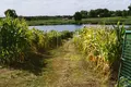 будинок за адресою ул. Заречная