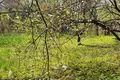 участок по адресу Таджикская ул., 4