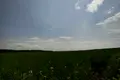 ділянка за адресою алгоритмічна