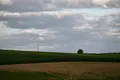ділянка за адресою Шевченка