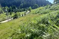 участок по адресу с. Поляница, Прохідний