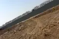 участок по адресу с. Петрушки, Соснова, 13