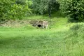 будинок за адресою с. Коноплівці, Дачна