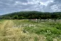 ділянка за адресою с. Невицьке, 