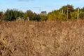 участок по адресу Самійла Величка вул, 4