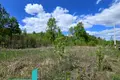 участок по адресу Звенигородская ул.