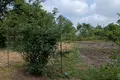 будинок за адресою Джерельна