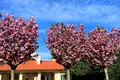 будинок за адресою Одеса, Костанди
