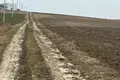 участок по адресу Молодёжная ул.