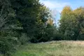 ділянка за адресою с. Ясниська, 