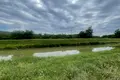 ділянка за адресою с. Невицьке, 