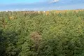 квартира за адресою Університетська, 3/6
