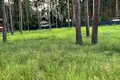 участок по адресу с. Романков, Сосновый Бор ул.