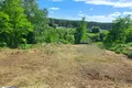 участок по адресу с. Ходосовка, 
