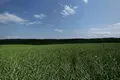 ділянка за адресою шевченка