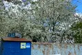 участок по адресу с. Музычи, провулок Садовий, 1