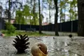 будинок за адресою Ряснянська вул., 16
