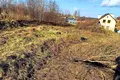 ділянка за адресою с. Малехів, Жовківська, 6