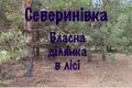участок по адресу с. Севериновка, 