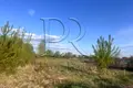 участок по адресу с. Ходосовка, Озерная ул.