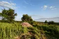 ділянка за адресою Шевченка