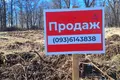 участок по адресу с. Бохоники, 