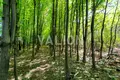 ділянка за адресою Жулянська вул.