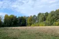 ділянка за адресою с. Ясниська, 