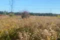 ділянка за адресою с. Святопетрівське, 