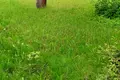 ділянка за адресою Львів, Холодна вул., 85