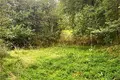 ділянка за адресою с. Рокитне, 