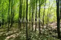 ділянка за адресою Жулянська вул.