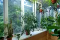 квартира по адресу Михаила Бойчука ул. (Киквидзе), 23