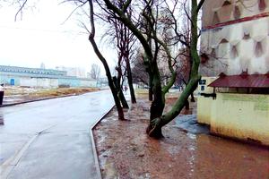 комерційна за адресою Перемоги просп., 62в