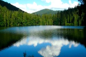 ділянка за адресою с. Сенечів, 