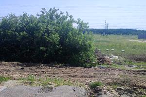 ділянка за адресою с. Нові Петрівці, 