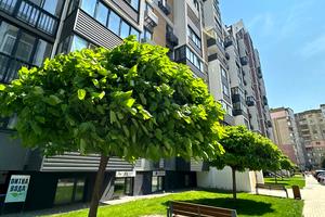 комерційна за адресою Вишгород, Набережна вул., 8д