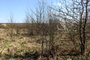 ділянка за адресою урочище За глибоким