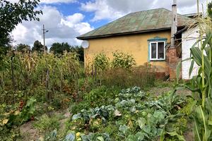 дом по адресу Калинова, 1