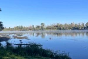 участок по адресу незалежності, 22