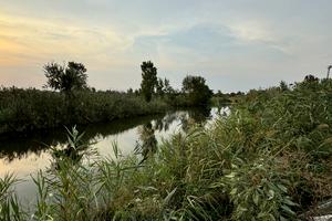 ділянка за адресою провулок Широкій
