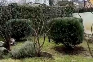 дом по адресу Стражевского