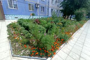 квартира за адресою Курузова вул., 11