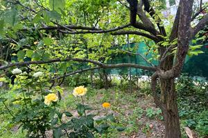 будинок за адресою Залізнична вул., 60