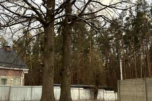 участок по адресу Давидчука ул., 81