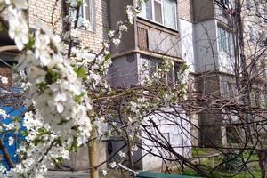 квартира за адресою Рибна вул., 7