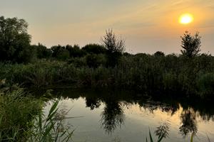 ділянка за адресою Вишнева